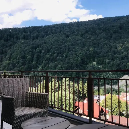 Mountain View Penthouse *