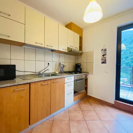 Mountain View Penthouse Sinaia