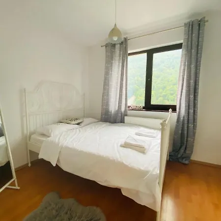 Apartment Mountain View Penthouse Sinaia